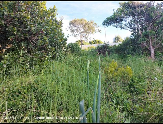 708M² VACANT LAND FOR SALE IN TERGNIET